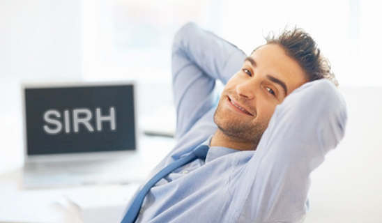 HRIS: software serving the HR performance